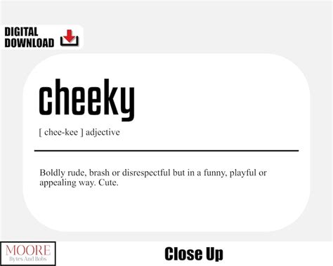 cheeky meaning slang.